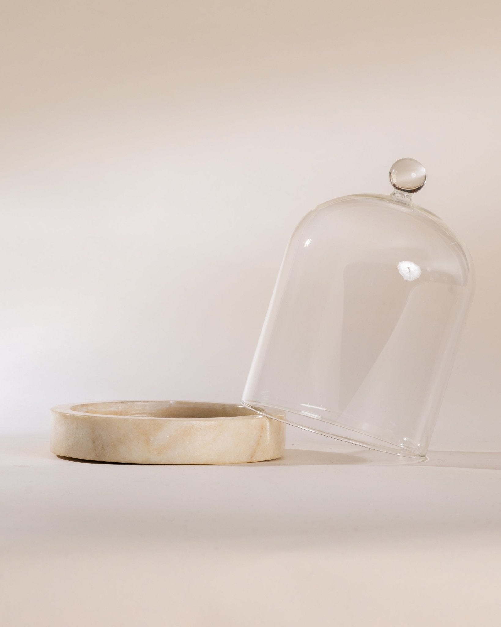 OYSTER CLOCHE + STONE - Home Decor Accessories