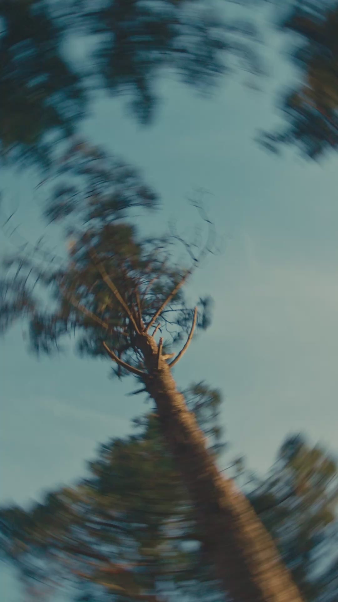 Load video: