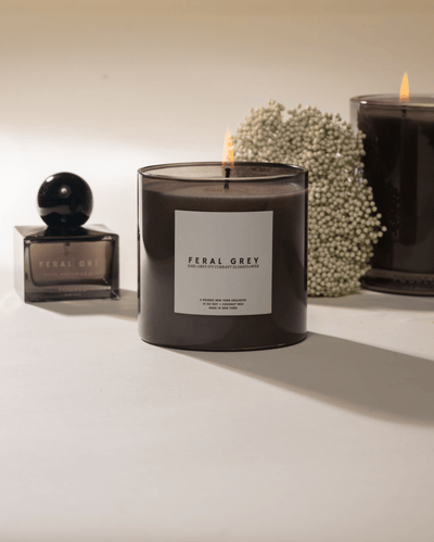 Poured New York 'Feral Grey' candles lit in grey glass and a grey niche parfum bottle with elderflower decor on a neutral background.