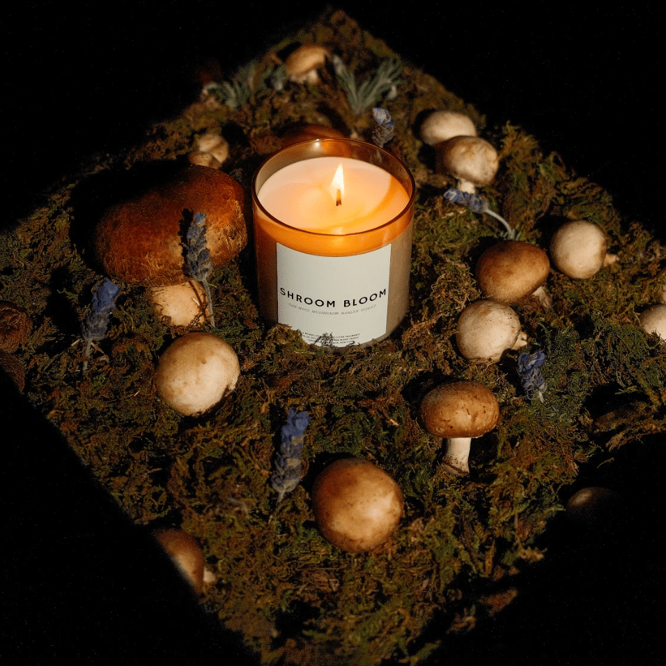 SHROOM BLOOM - Candle - Poured New York